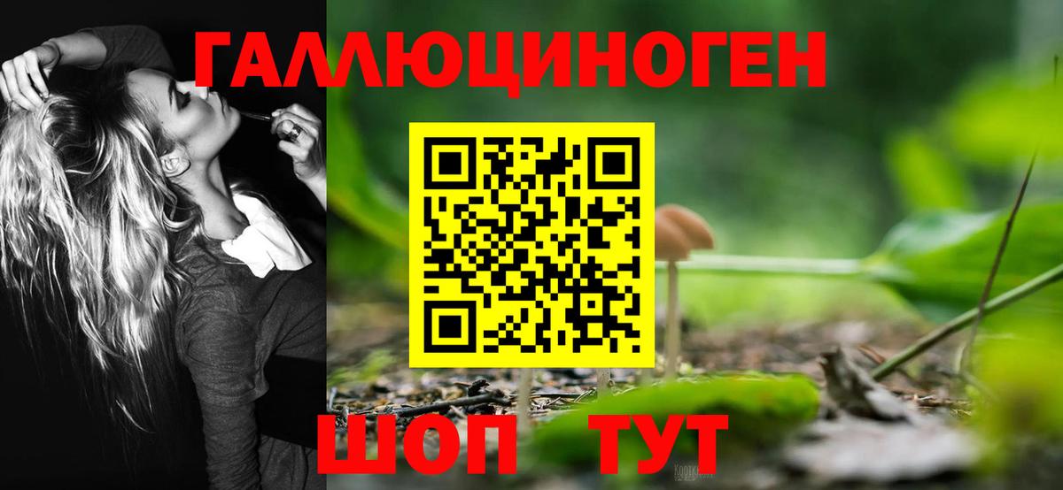 Псилоцибиновые грибы Magic Shrooms Комсомольск-на-Амуре