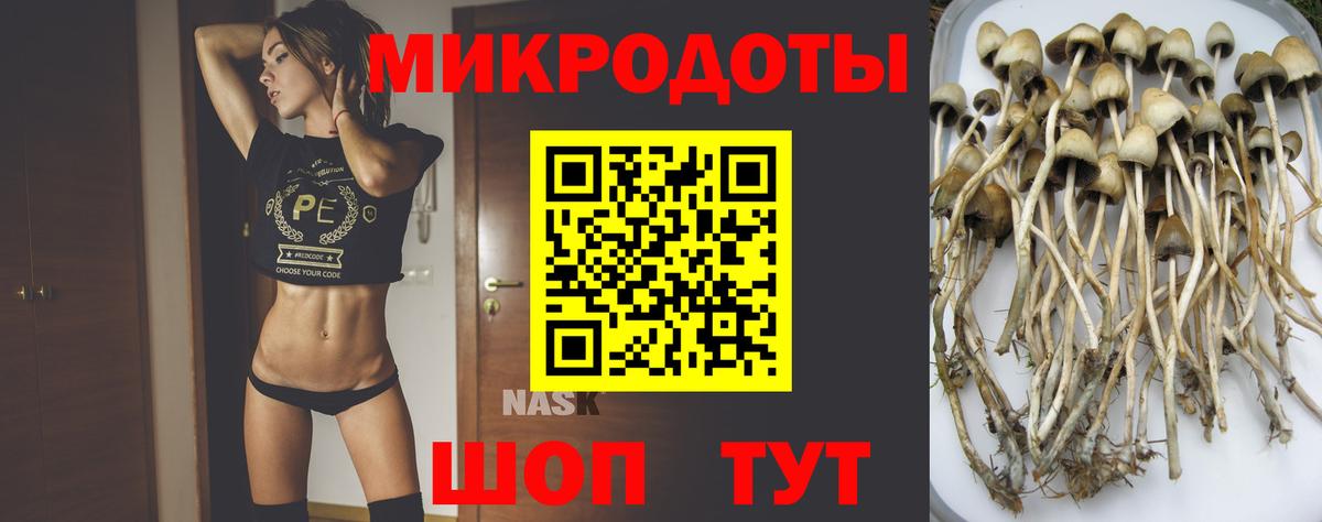 Комсомольск-на-Амуре  Псилоцибиновые грибы MAGIC MUSHROOMS  Галлюциногенные грибы Psilocybine cubensis  Вход с VPN 